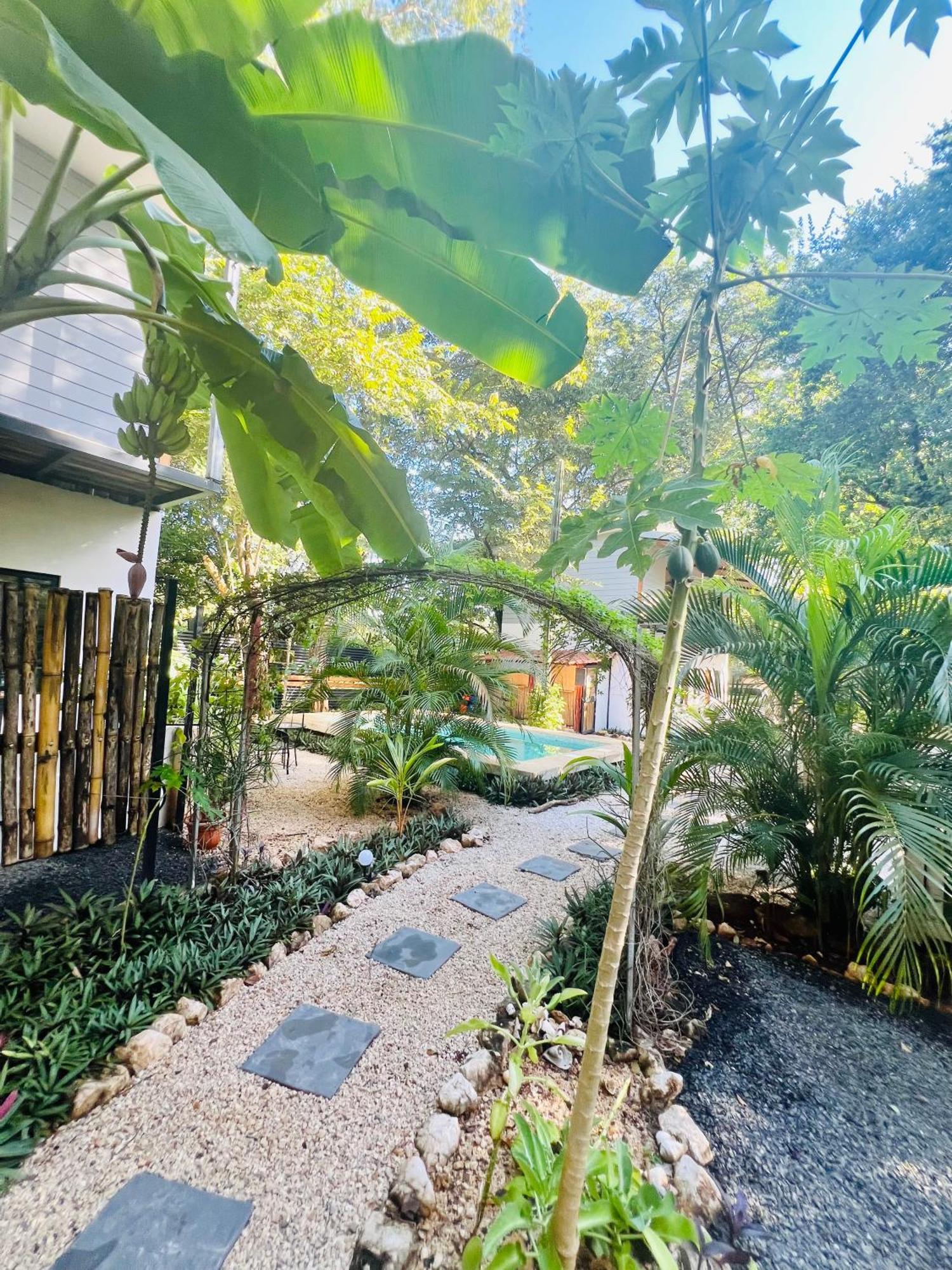 Calipso Ocean Lodge- Avellana Beach Hotel プラヤ・アベヤナ エクステリア 写真