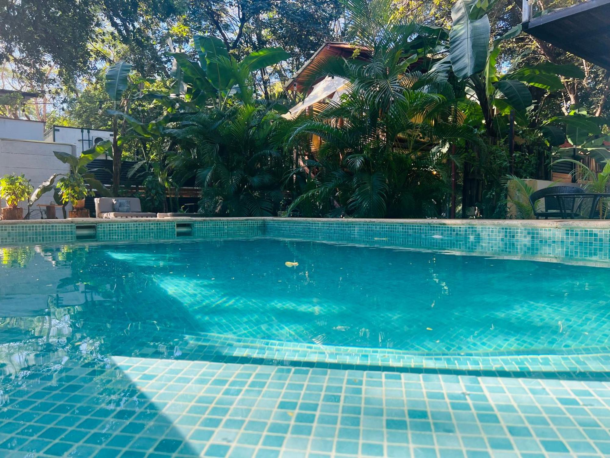 Calipso Ocean Lodge- Avellana Beach Hotel プラヤ・アベヤナ エクステリア 写真