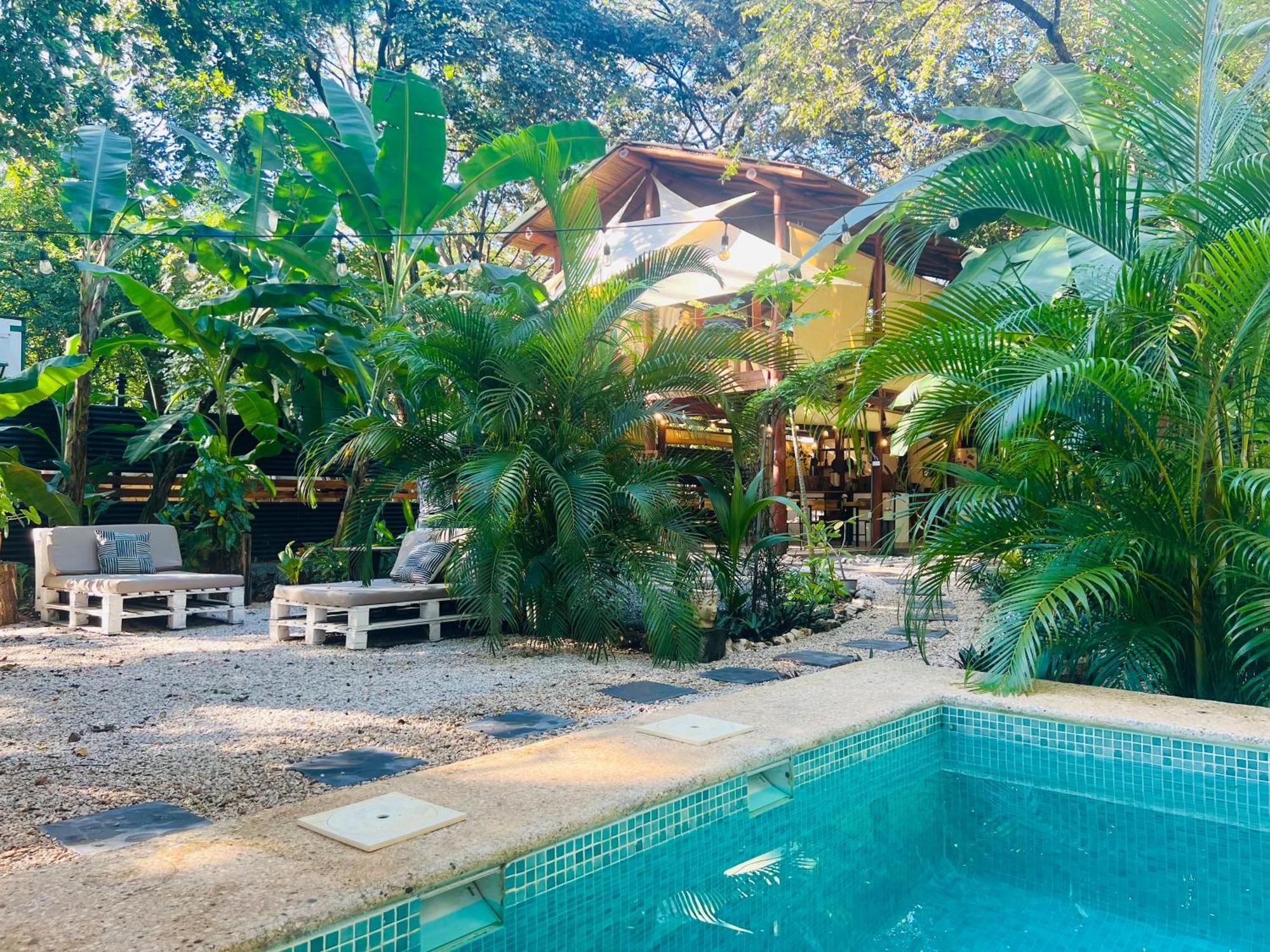 Calipso Ocean Lodge- Avellana Beach Hotel プラヤ・アベヤナ エクステリア 写真