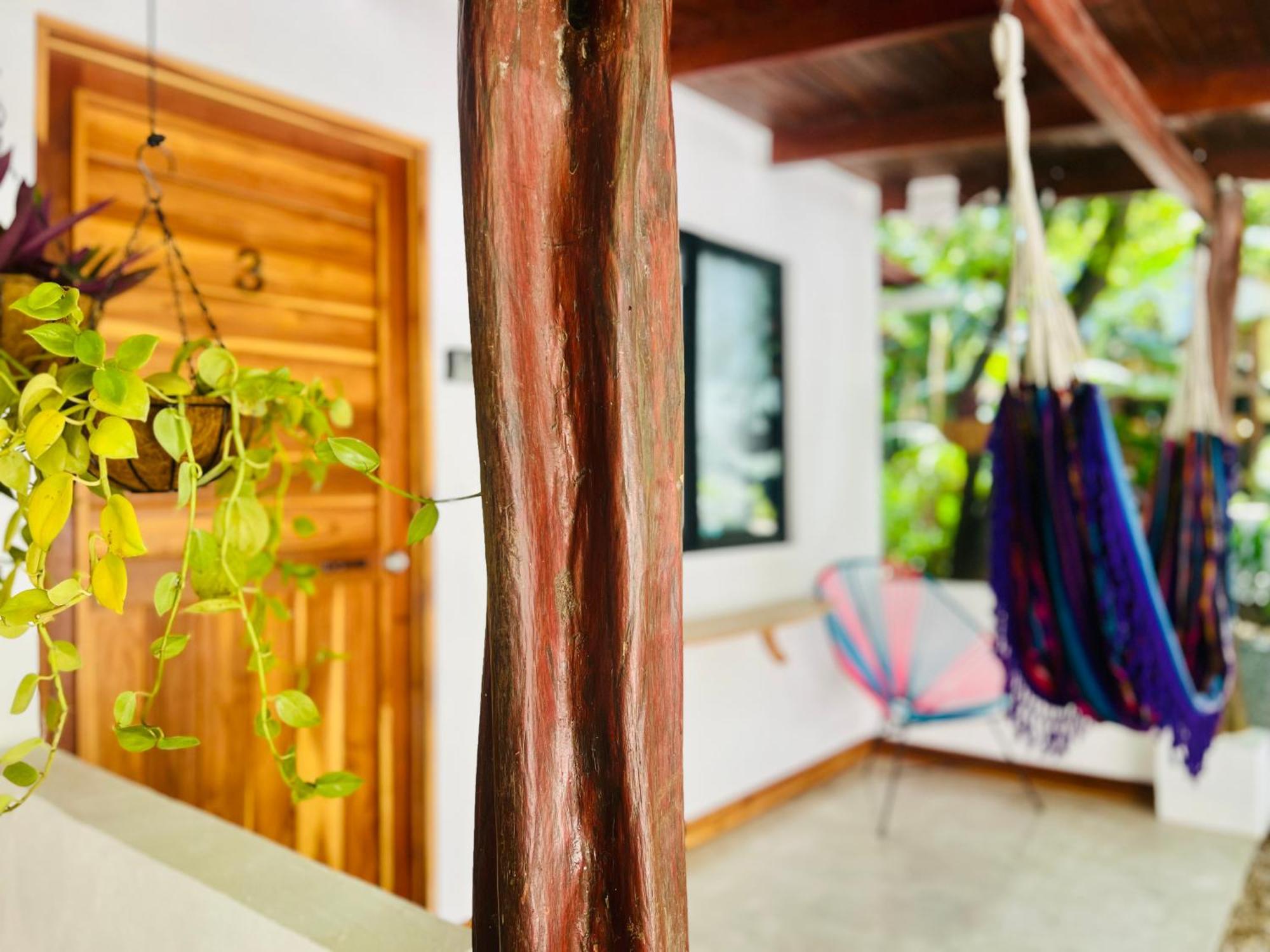 Calipso Ocean Lodge- Avellana Beach Hotel プラヤ・アベヤナ エクステリア 写真