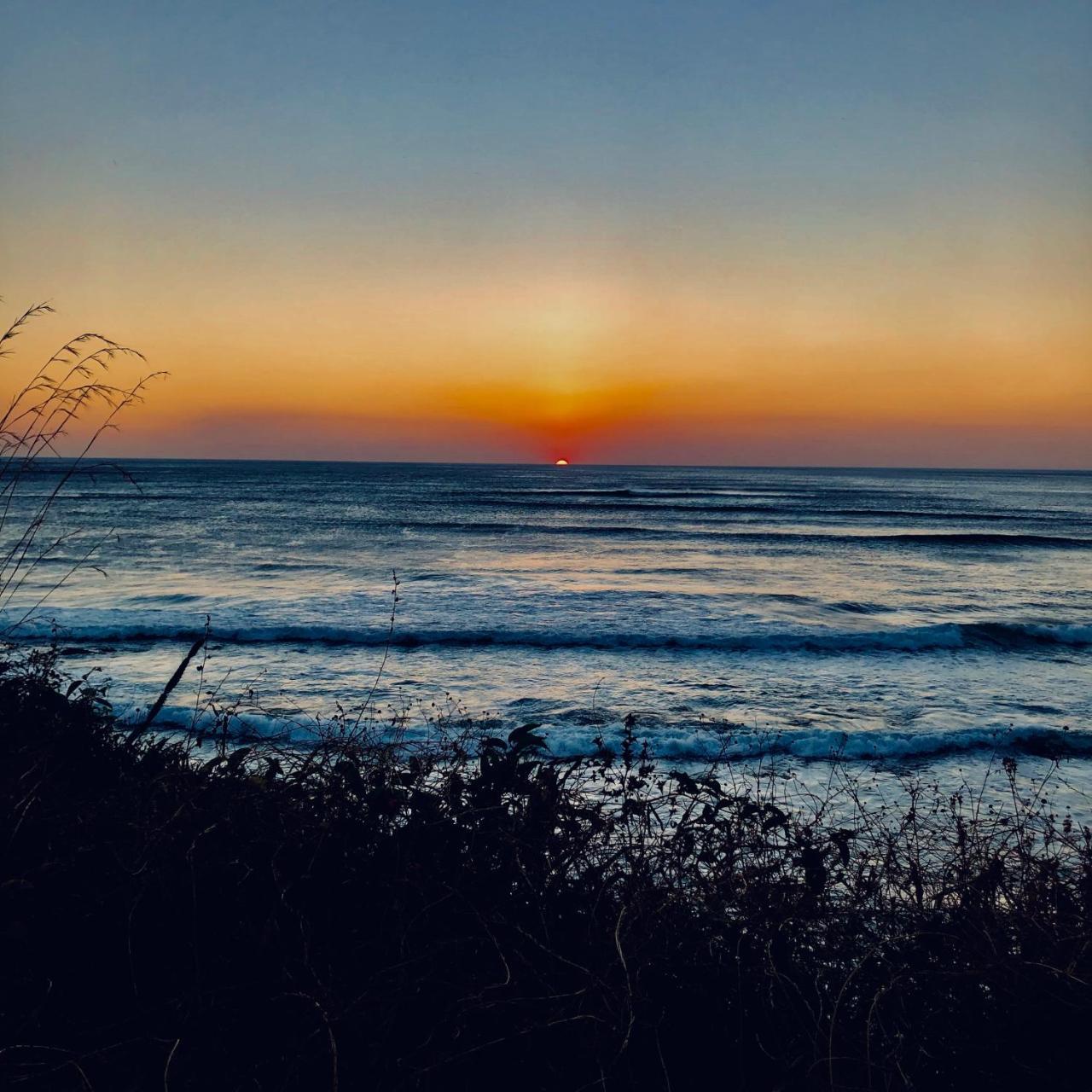 Calipso Ocean Lodge- Avellana Beach Hotel プラヤ・アベヤナ エクステリア 写真